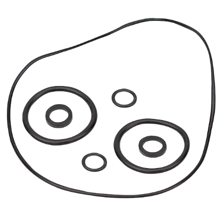 [RET-2831-0500] JUEGO RETEN O-RING