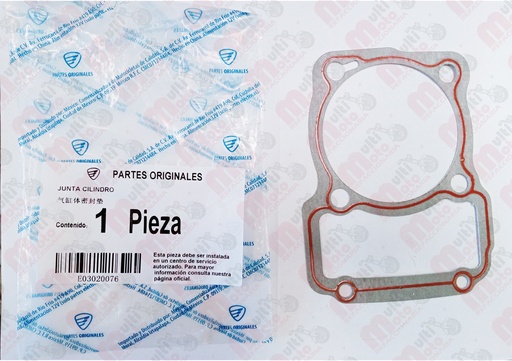 [E03020076] JUNTA CILINDRO DM250