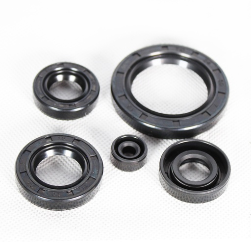 [1001319] KIT RETENES DE MOTOR FT125/150/200 MEK