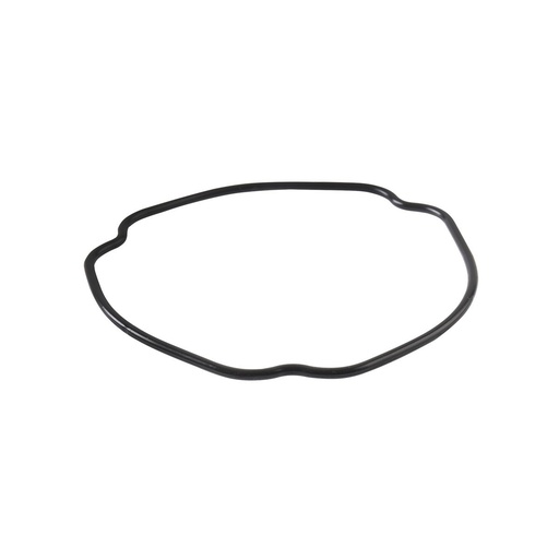 [E02030186] O-RING 25X2.4 VORT-X 250, BLACKBIRD