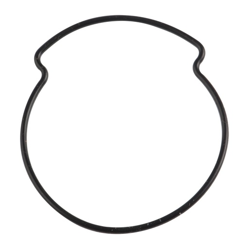 [E10030098] O-RING 53.25 V200