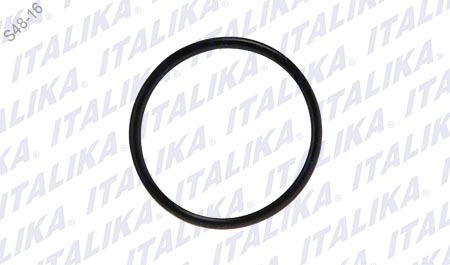 [E03020056] O-RING D=19 d=1.8 VORT-X 300