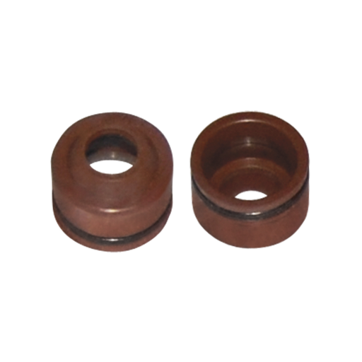 [MOTRT22] RETEN DE VALVULAS P ITALIKA DS150