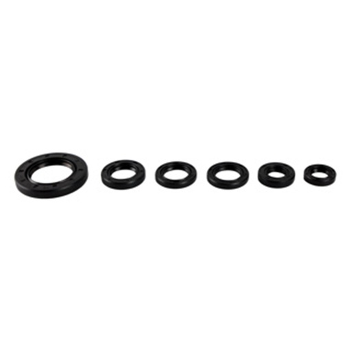 [07-5029-001] RETENES SET MOTOR IT ATV150 CON REVERSA