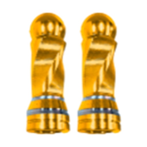 [RS-GRL-12038GD] TAPON DECORATIVO PARA VALVULA EN FORMA RODONDO (DORADO)