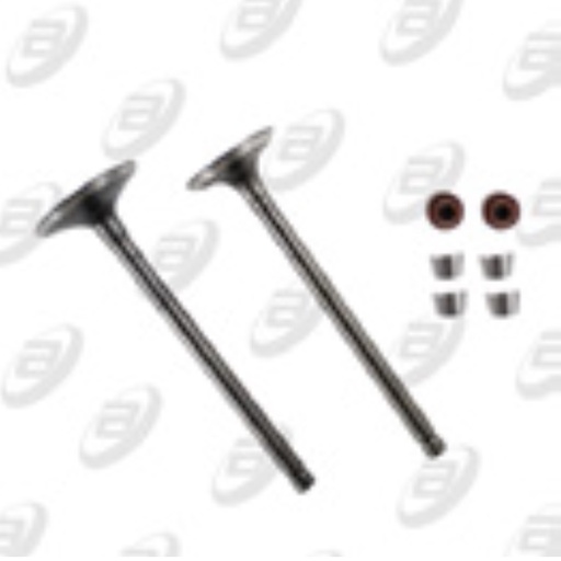 [VAL-027] VALVULAS CALIDAD GOLD (IRON BOX) (ADMISION Y ESCAPE) ATV-180 16-20